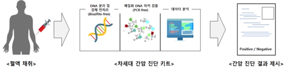 이미지: [메틸화 DNA 바이오마커 기반 간암 진단 제품의 분석 과정]