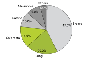 이미지: [출처 transparency market research, ‘companion diagnostics market’ (2012)]