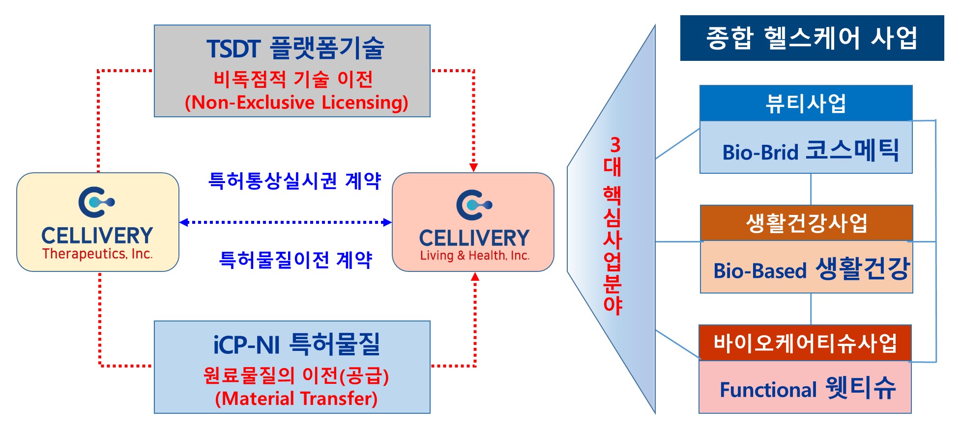 셀리버리] 반기보고서(일반법인)