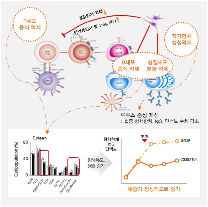 이미지: CE211AT15