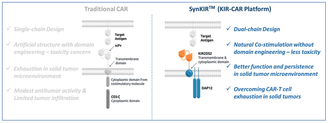 이미지: synkir platform