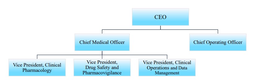 이미지: Elevar Therapeutics, Inc. 조직도