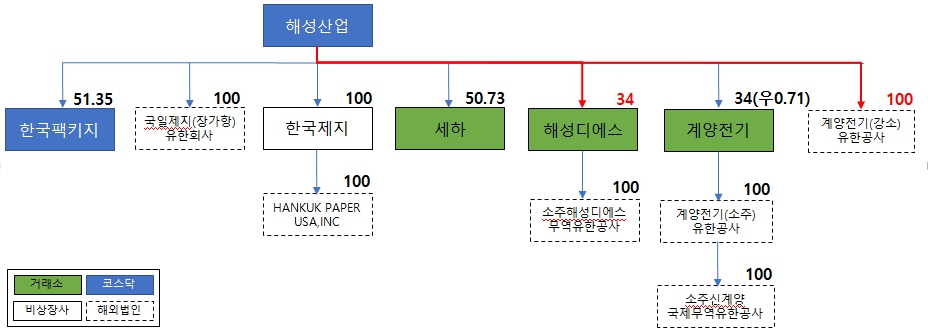 이미지: 분할합병후 지배구조