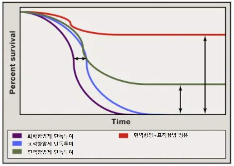 이미지: 항암제 종류별 생존곡선 비교