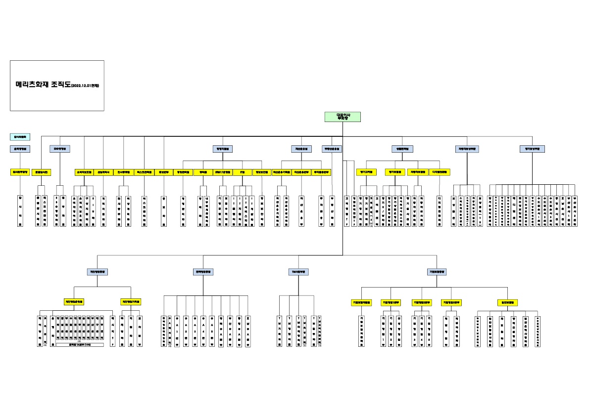메리츠화재] [정정]주주총회소집공고