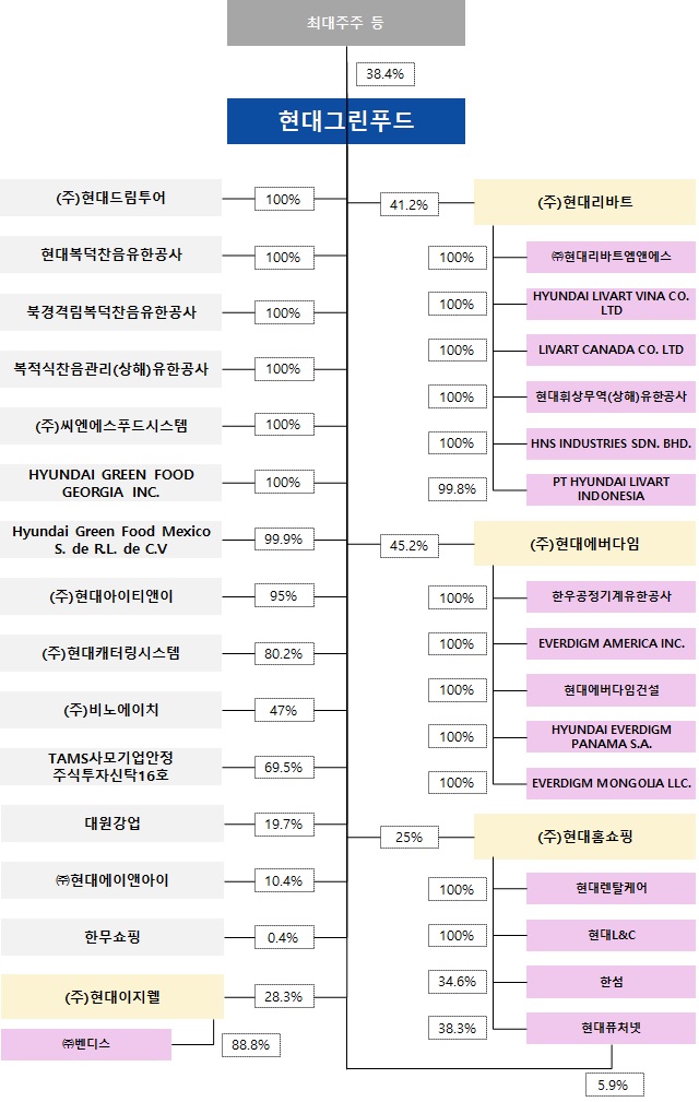 이미지: 분할 전 지배구조도