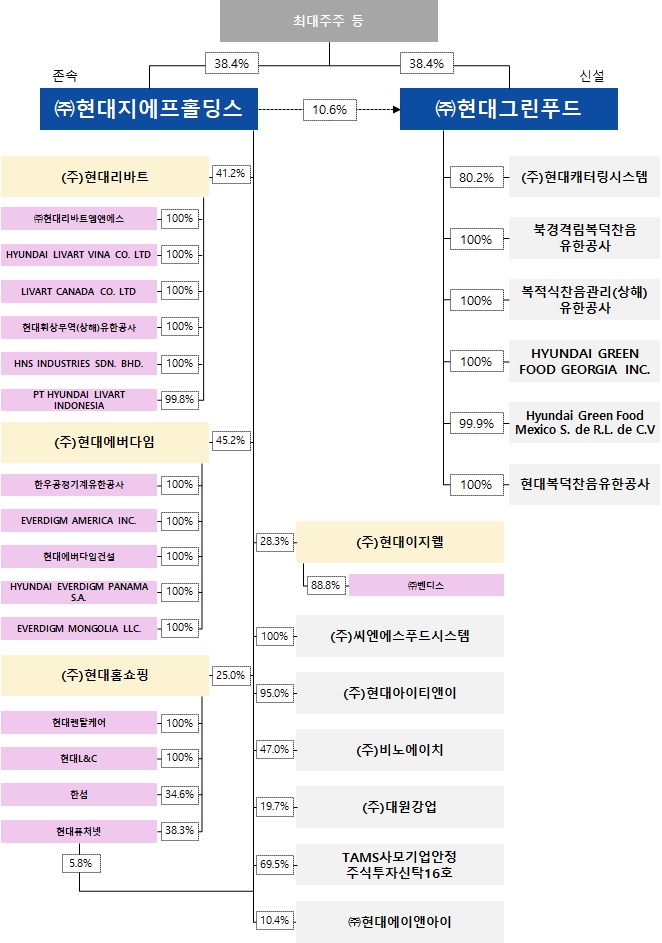 이미지: 분할 후 지배구조도