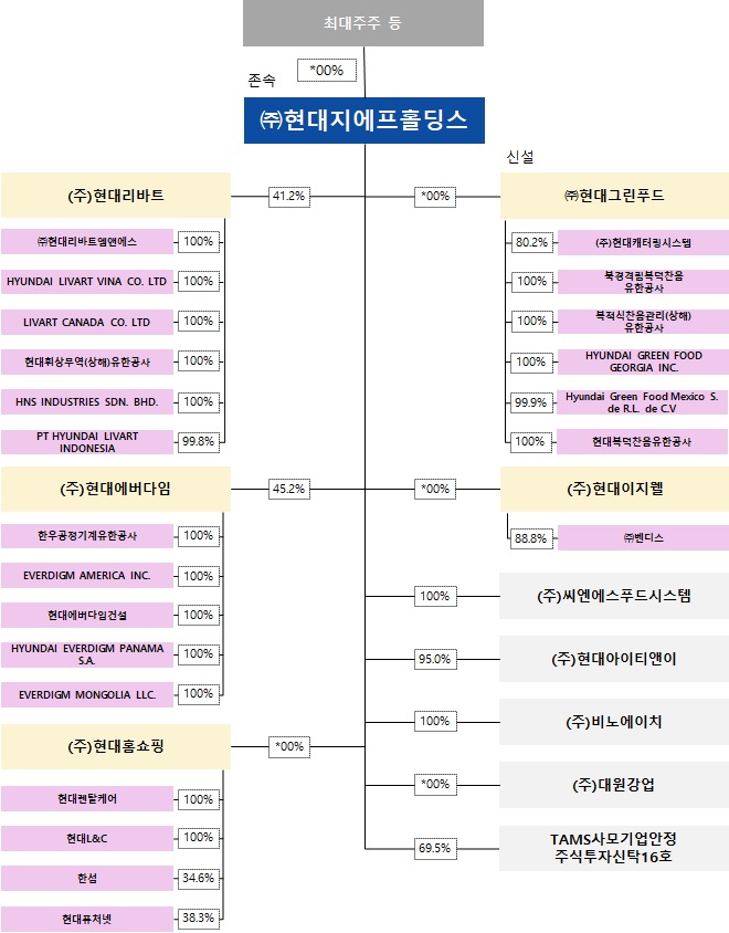 이미지: 회사구조 개편 후 지배구조도