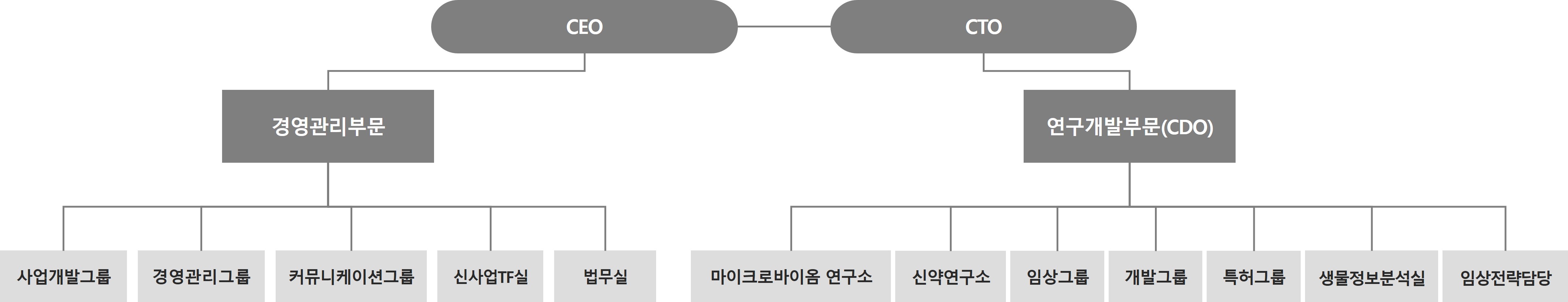 이미지: 조직도