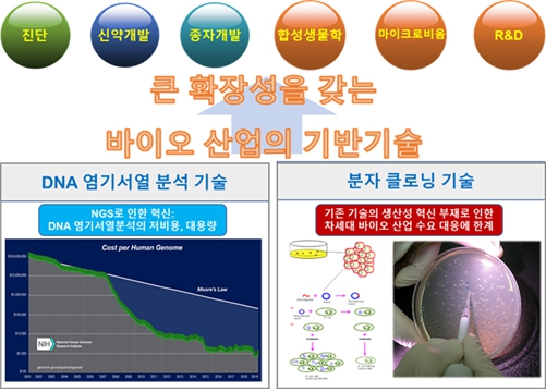 이미지: DNA 염기서열 분석 기술과 분자클로닝 기술 응용분야