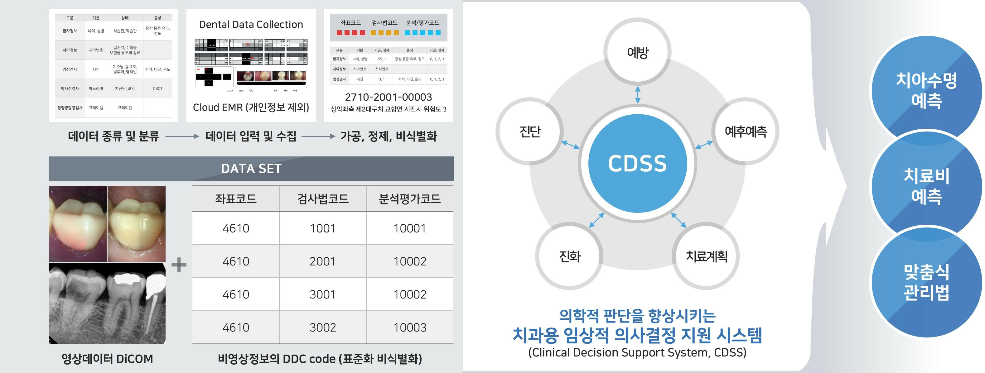 이미지: [CDSS_진단 및 예후예측 시스템]