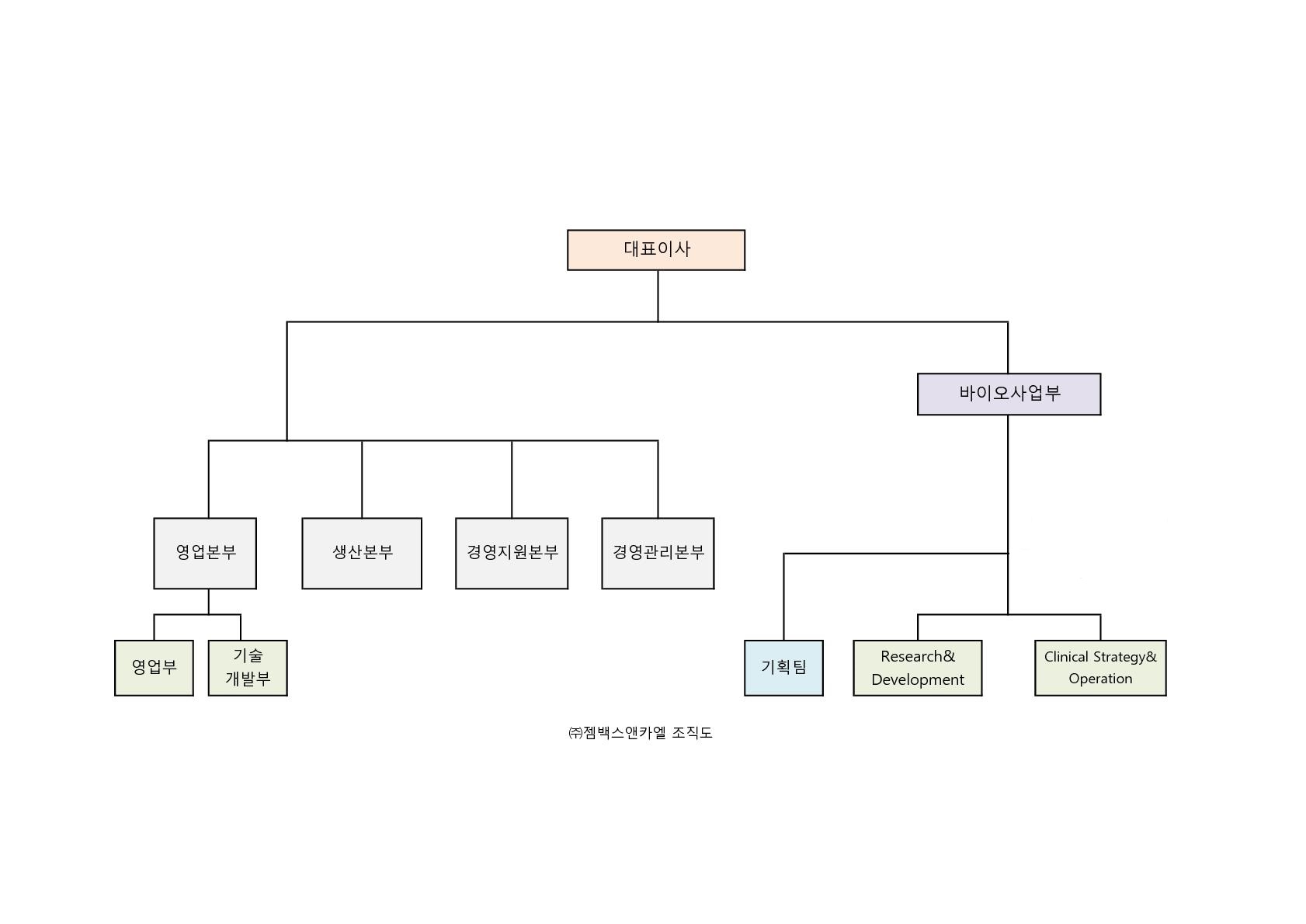 이미지: 젬백스 조직도_1