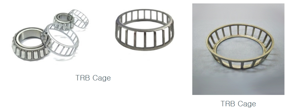 이미지: TRB Cage