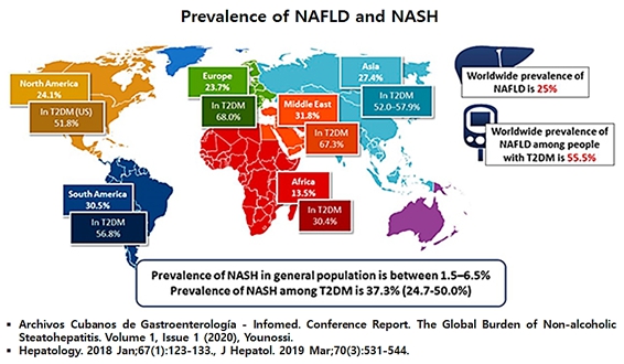 이미지: (출처: Clin Gastroenterol Hepatol. 2016 Feb;14(2):301-8.e1-2., Hepatology. 2016 Jul;64(1):73-84., J Hepatol. 2019 Mar;70(3):531-544., Hepatol Int. 2019 Mar;13(2):205-213.)