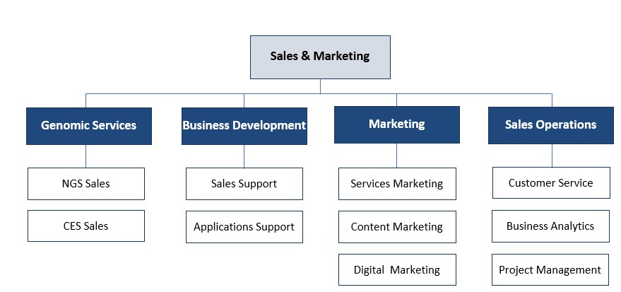 이미지: [Sales & Marketing 부문 조직도]