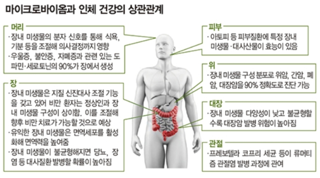 이미지: 마이크로바이옴과 인체 건강의 상관관계