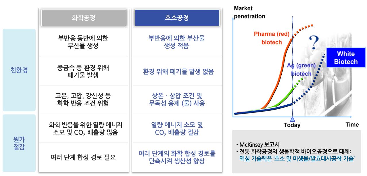 이미지: 산업용 효소 성장