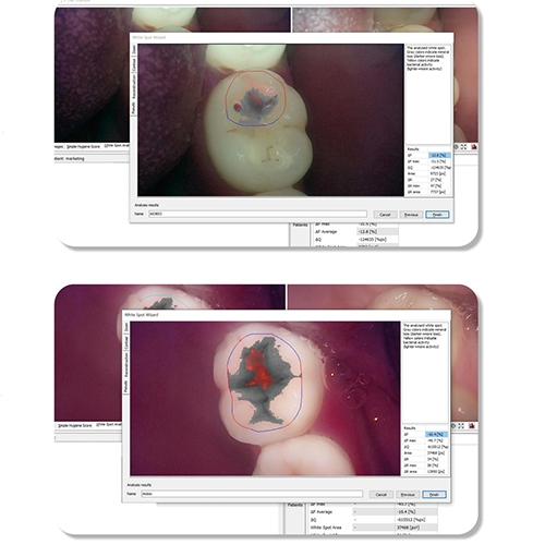 이미지: [큐레이S/W]
