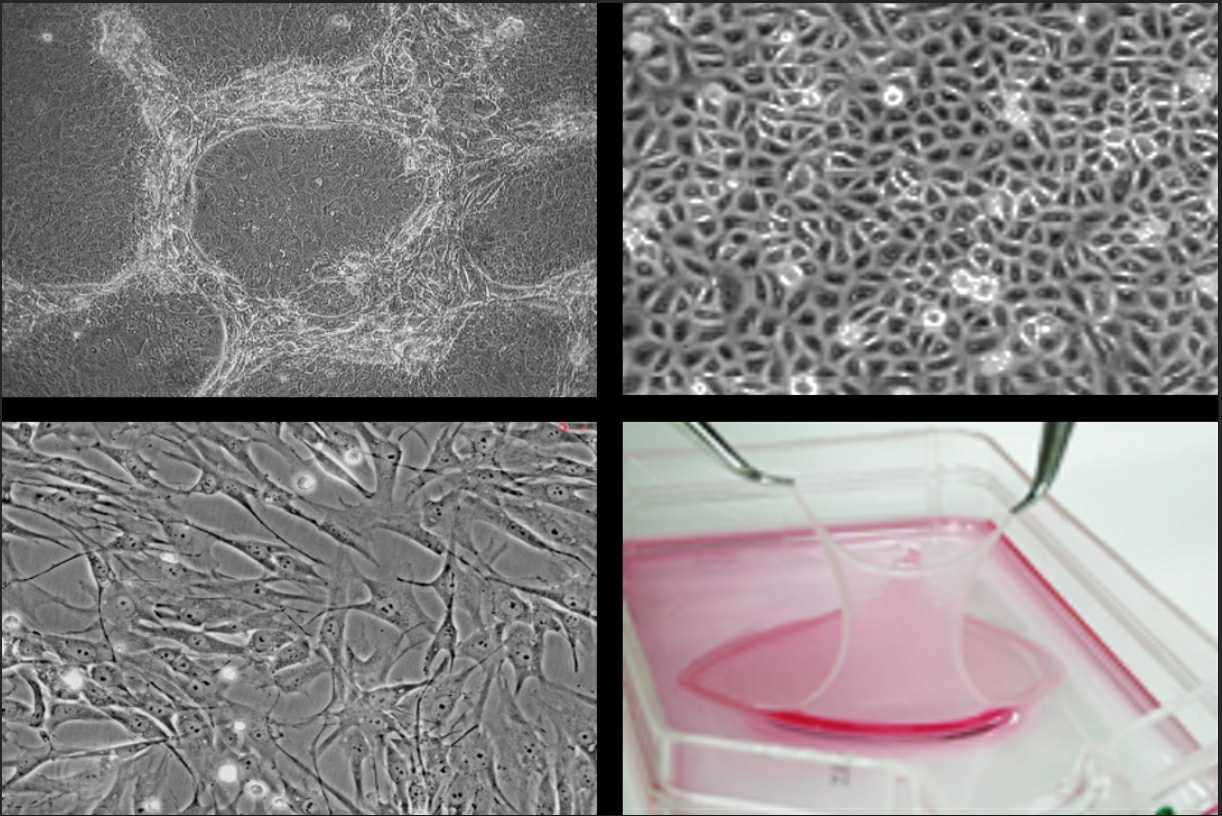 테고사이언스] 분기보고서(일반법인)