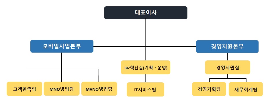이미지: (주)아이즈비전 조직도