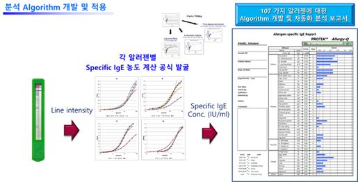 이미지: 분석 알고리즘 개발 및 적용 과정