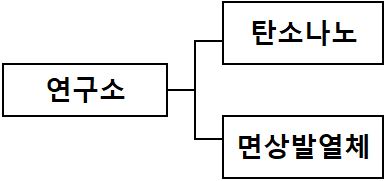 이미지: ㈜대유플러스 탄소나노 연구소 조직도