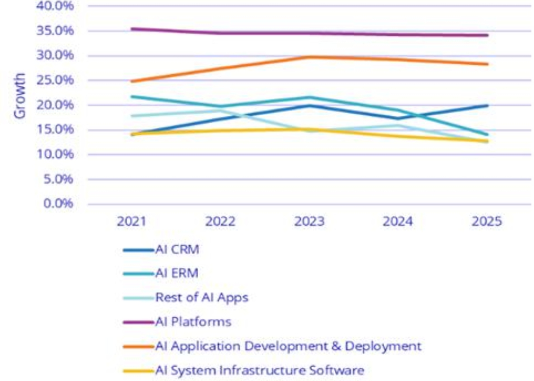 이미지: [Worldwide AI Software Forecast, 2021-2025]