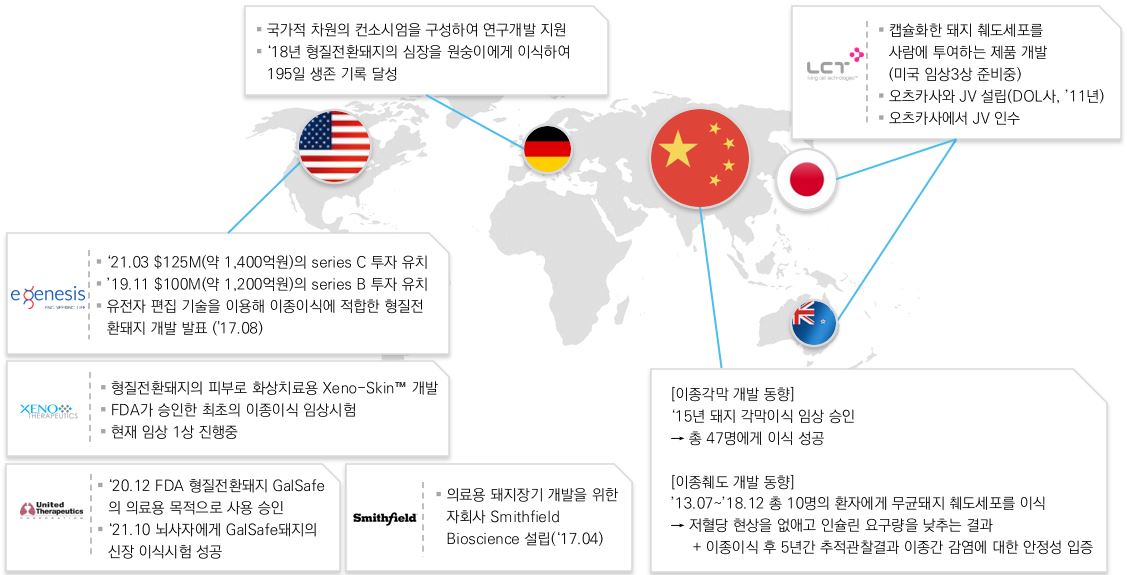 이미지: 이종이식의 해외연구 동향