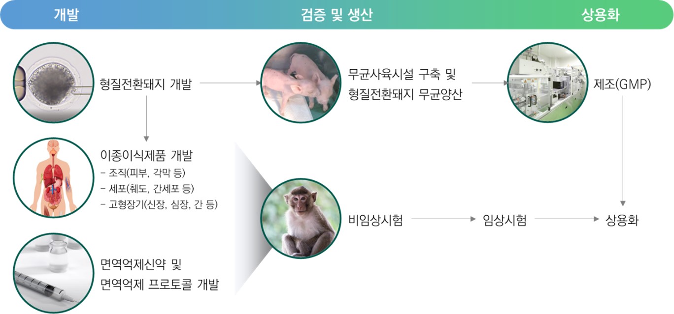 이미지: 제넨바이오 이종장기이식 one-stop 플랫폼