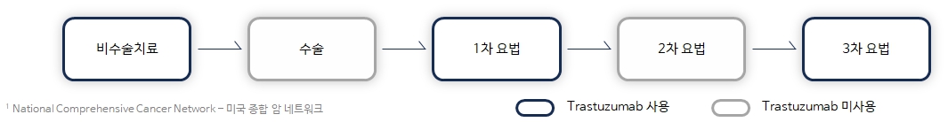 이미지: her2 유방암 치료 흐름도