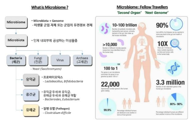 이미지: 마이크로바이옴의 개념