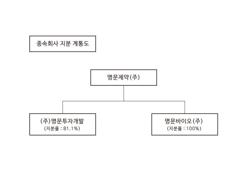 이미지: 종속회사 지분도