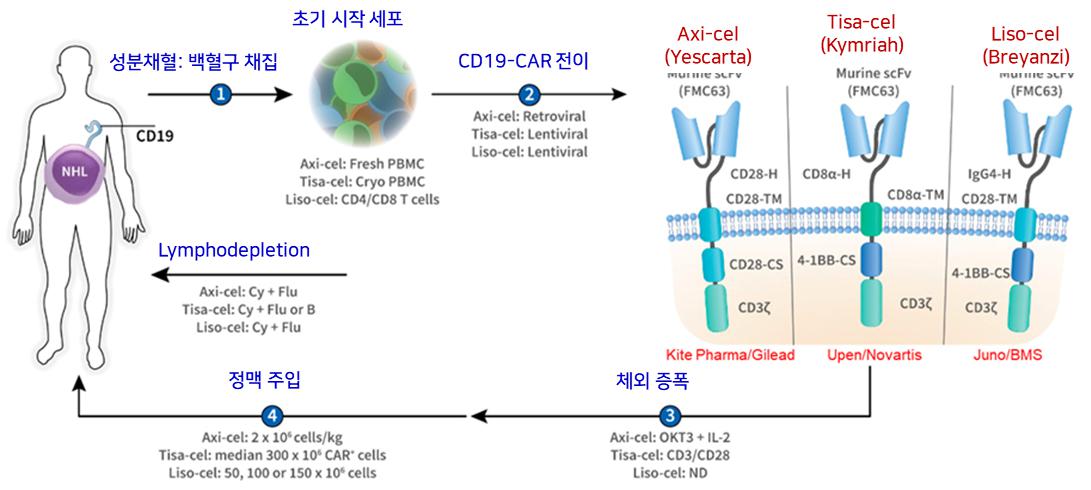 이미지: 상업적 car-t 세포치료제의 특성 및 개요