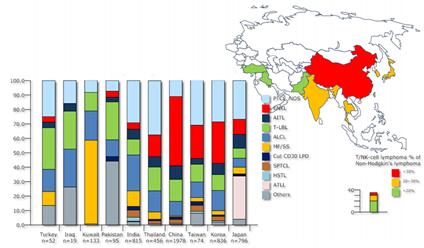 이미지: 아시아국가 내 nkt lymphoma 유병률