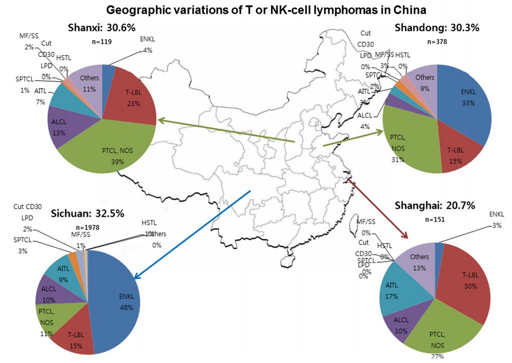 이미지: 중국 내 nkt 림프종 환자의 지역별 분포