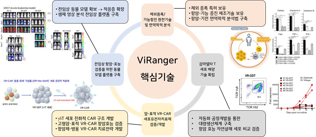 이미지: viranger 핵심기술