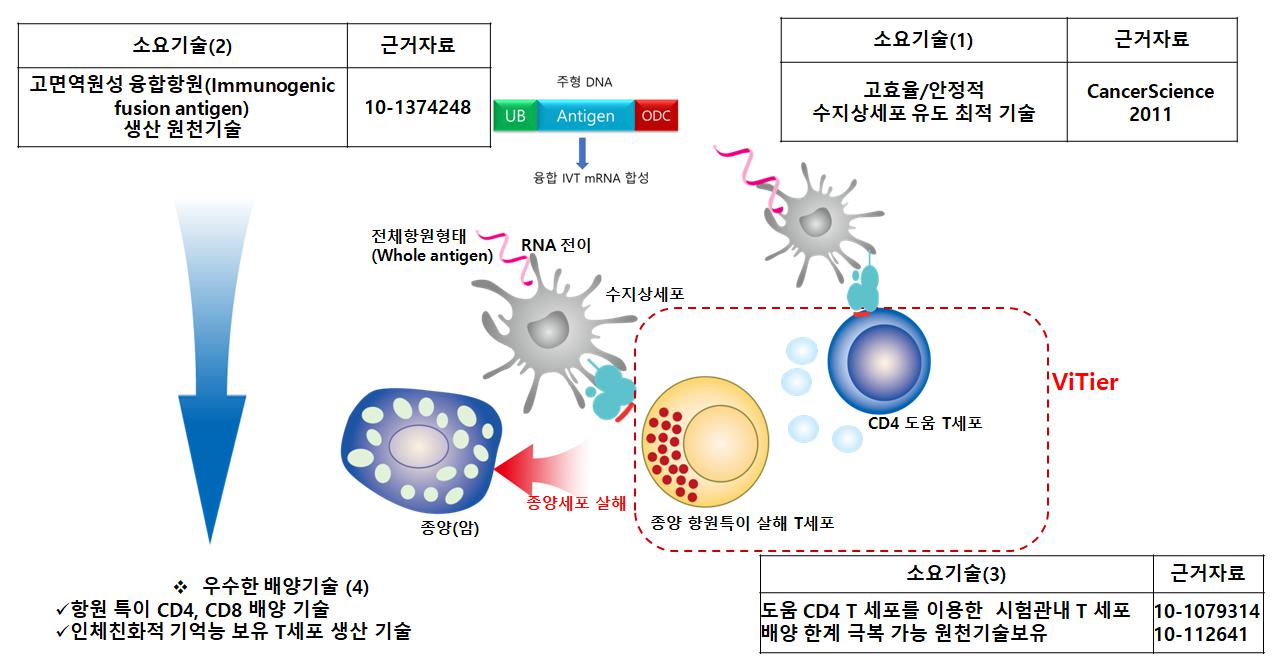 이미지: vitier 핵심기술