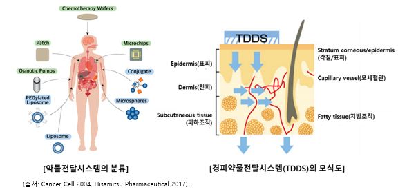 이미지: 경피약물전달시스템 모식도