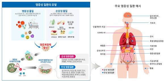 이미지: (출처: SCIENCE, 2021, Vol 374, Issue 6571; Inflammation: An expanding view에서 인용수정)