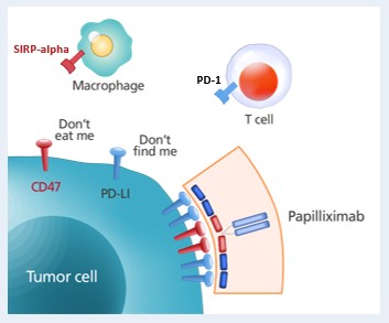 이미지: (출처: J Immunother Cancer. 2021 Oct;9(10):e003464. 인용 수정)