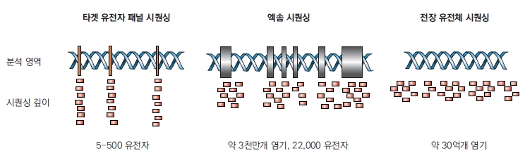 이미지: target 범위에 따른 ngs시퀀싱