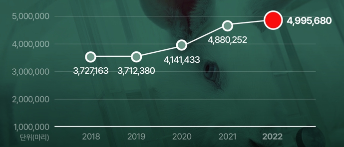 이미지: 2022년 실험동물 현황