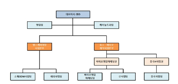이미지: 판매조직도