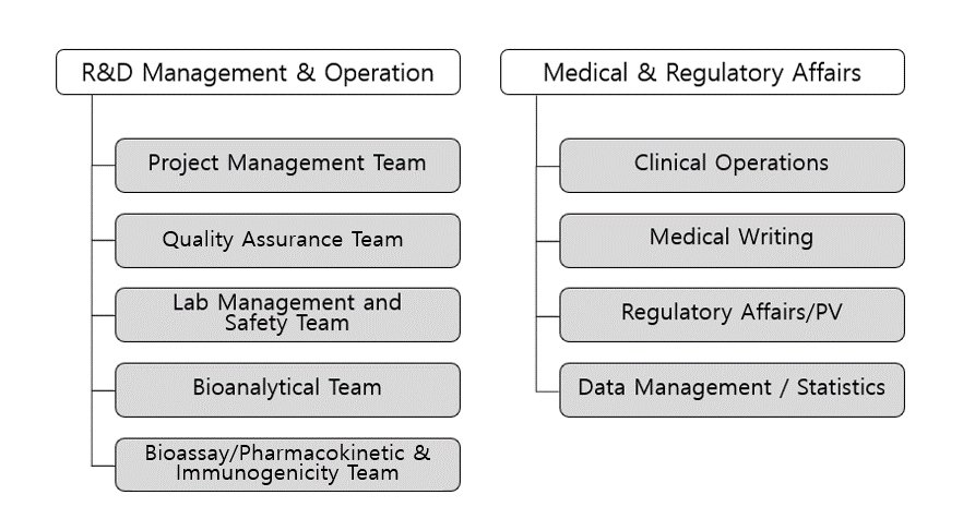 이미지: 연구개발 조직도