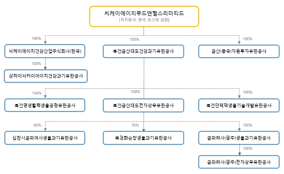 이미지: ckh지배구조도