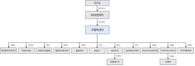 이미지: 분할전 지배구조도