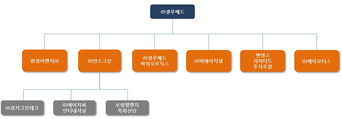 이미지: 계통도_계열회사 등에 관한 사항