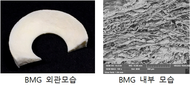 이미지: BMG 사진