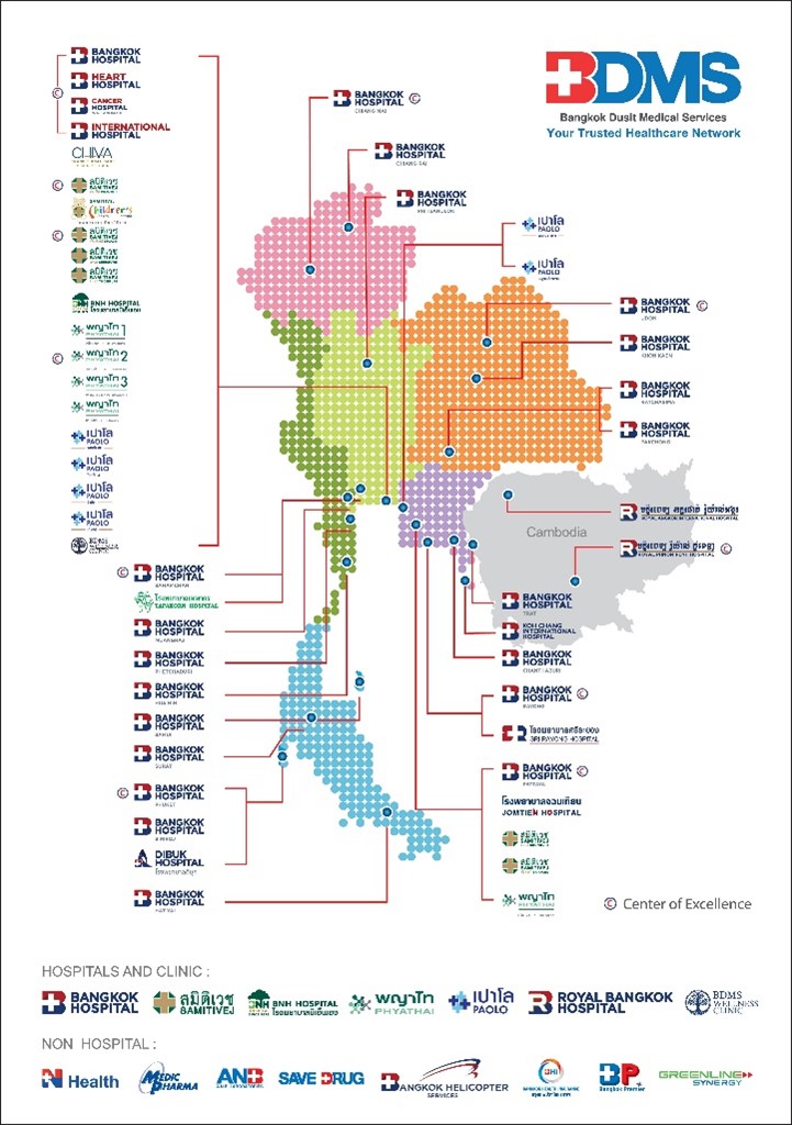 이미지: [BDMS Healthcare Network (출처: BDMS 홈페이지)]