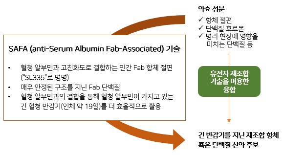 이미지: SAFA 기술 개요도